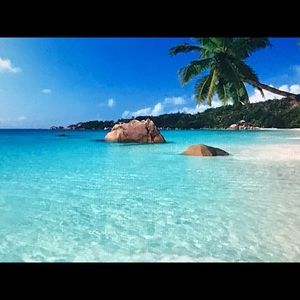 Meet your Posher, Kira